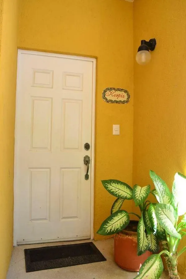 Beautiful Condo On 10Th Av In The Center Of Playa 普拉亚卡门 墨西哥